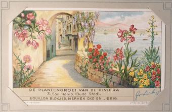 Liebig chromo plants Riviera 1937